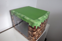 Minecraft PC Finished - top left